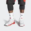 Adidas D Rose 10 Dash Grey Scarlet Men Sneakers Cloud-White EH2100