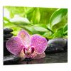 SKLENĚNÝ PANEL DO KUCHYNĚ 65x60 Orchidea