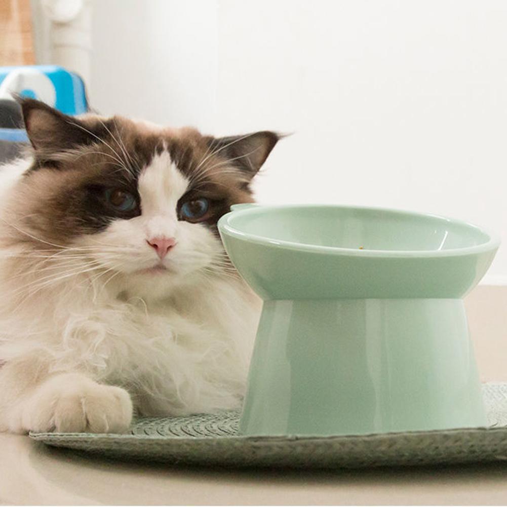 Tilted Cat Food Bowl Elevated Cat Bowl Ergonomic Tall Dog Bowl Anti Vomiting Plastic Feeding Bowl Non Slip for Flat- Faced Cats
