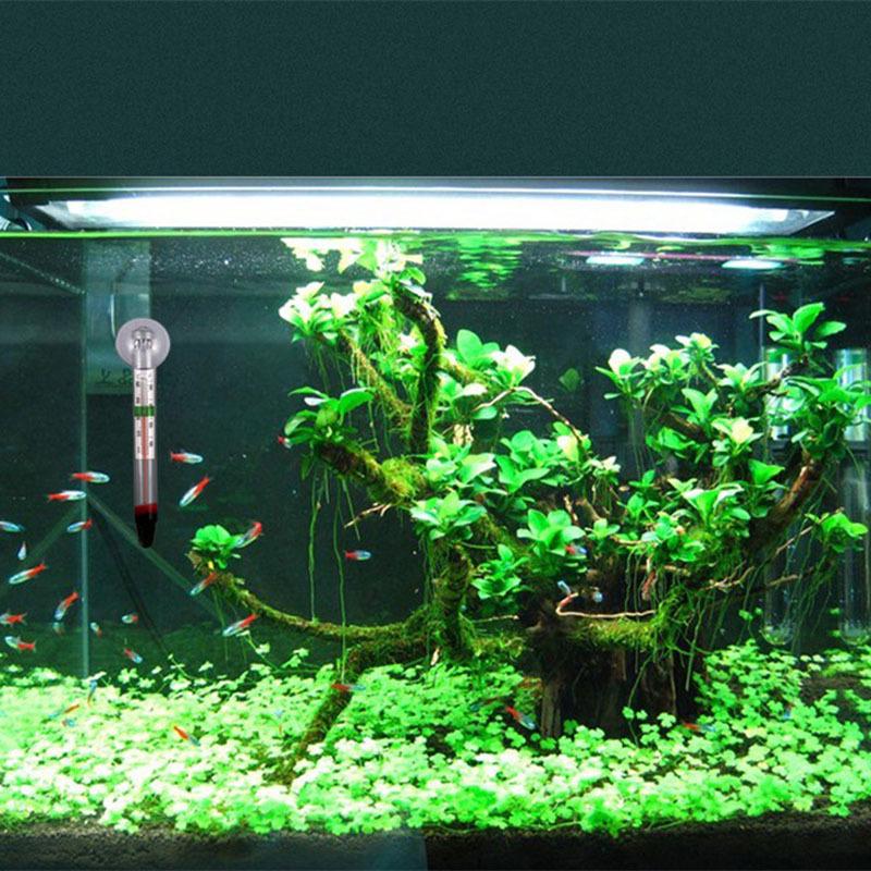 Glasröhren-Aquarium-Fischthermometer Temperatur Tauch-Saugbehälter Dekoration