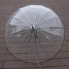 Hanyou Large Transparent Long-Handle Umbrella for Two