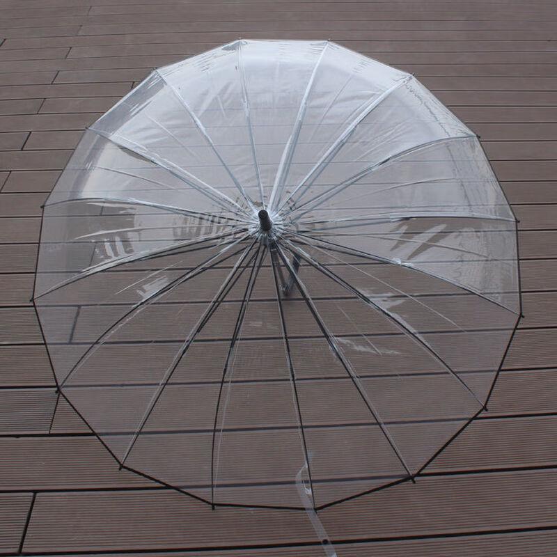 Hanyou Large Transparent Long-Handle Umbrella for Two