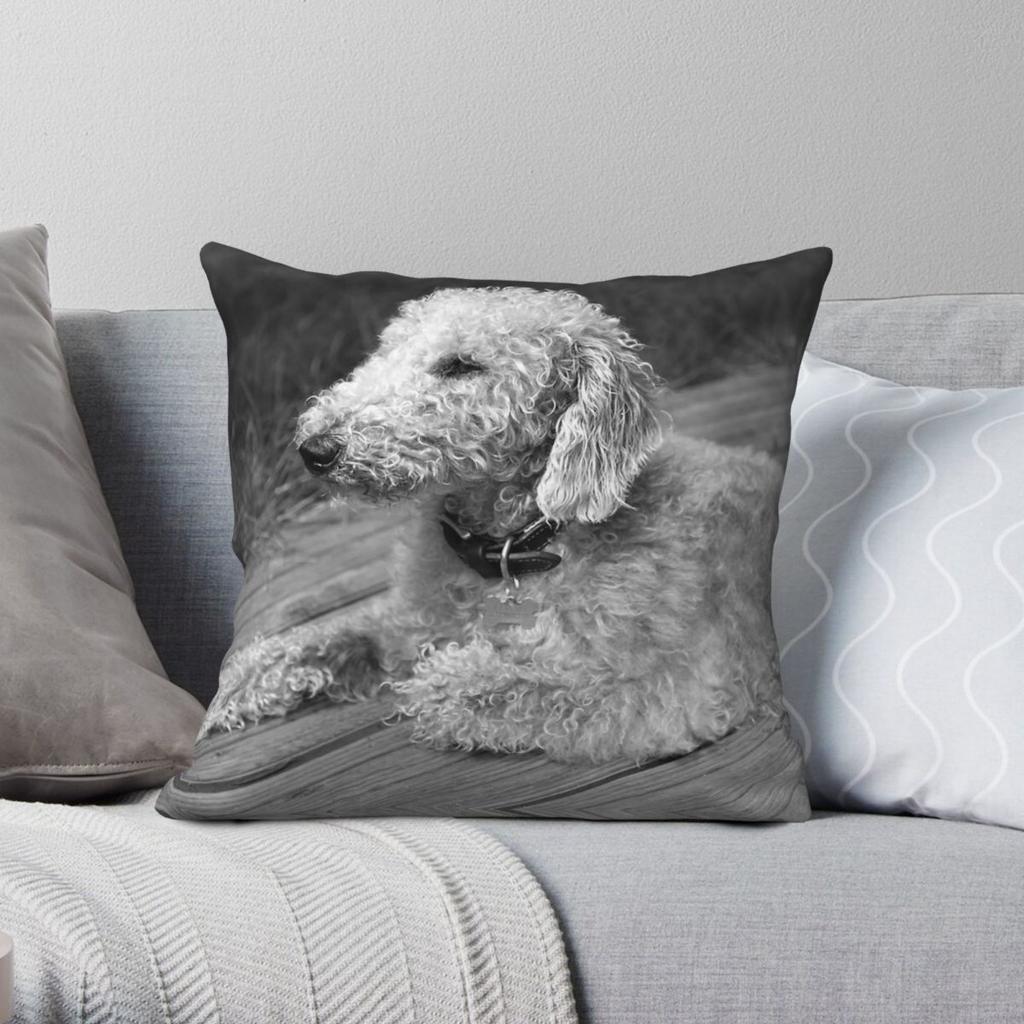 Bedlington Terrier Photo Square Pillowcase Polyester Linen Velvet Printed Zip Decorative Throw Pillow Case Sofa Seater Case