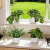 Top Quality Simulated Green Potted Plants, Suitable for Daily Home Decoration. They Can Be Placed on Windowsills and Desktops