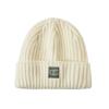 Champion Autumn/Winter Knitted Beanie