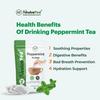 NeutraVed Peppermint Tea - 40 Tea Bags | Pure Mint Tea Bags | Caffeine-Free Herbal Tea | Reusable Zipper Pouch | Pack of 1