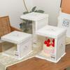 WS Square Tall Birthday Cake Packaging Box