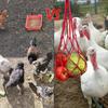 1pc Nylon Mesh Poultry Feeding Bag With Hanger, Large Capacity Chicken Raising Supplies, Vegetable Net Bag, Easy To Fill And Clean