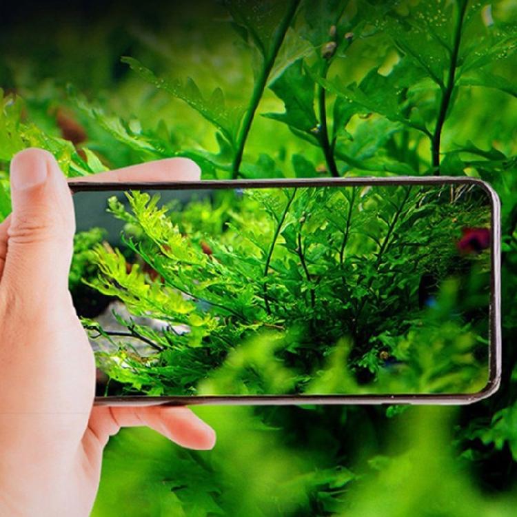 LED akvarijní klipová lampa 5W připevnitelná osvětlení 360° nastavitelná bez blikání