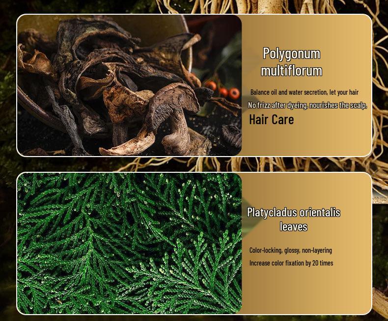 Beijing Tong Ren Tang Natural Black Brown Hair Dye with Black Tea Extract - Plant-Based Bubble Dye Cream