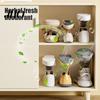 Shoe Stacker Organizer Adjustable 3-Level Holder with Aroma Box Space Saving Storage Solution Shoes Stacking Rack for Cabinet Organization Height