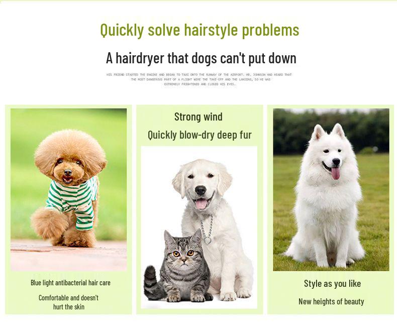 Vysoce výkonný, nízko hlučný fén na srst pro psy a kočky s péčí o negativní ionty