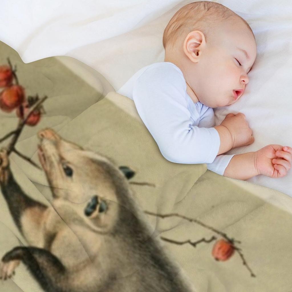 Naturalist Opossum Throw Blanket Blankets For Baby Soft Beds Tourist Blankets Sofas Of Decoration Blankets