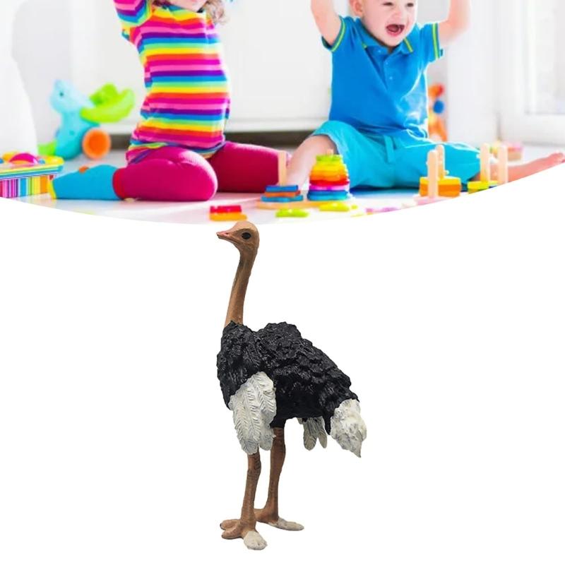 Wild Animals Figure Educational Learning Toy Realistic Ostrichs Figurines Ostrichs Model Table Centerpieces Home Decors