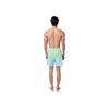Anta Quick-Drying Vacation Beach Shorts Men Shorts Gradient-Green 1824532410-1