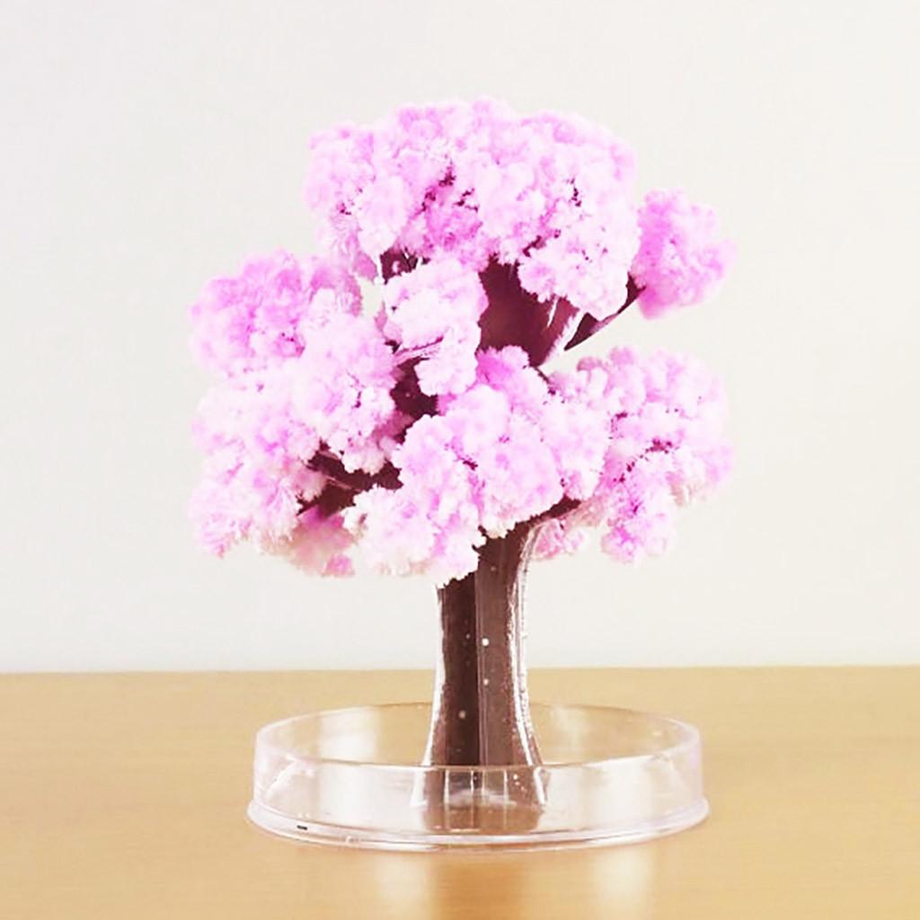 

Paper Tree Flowering DIY Cherrytree Paper Sakura Crystal Trees Magically Paper Magic Growing Tree Japan Desktop Cherry Blossom