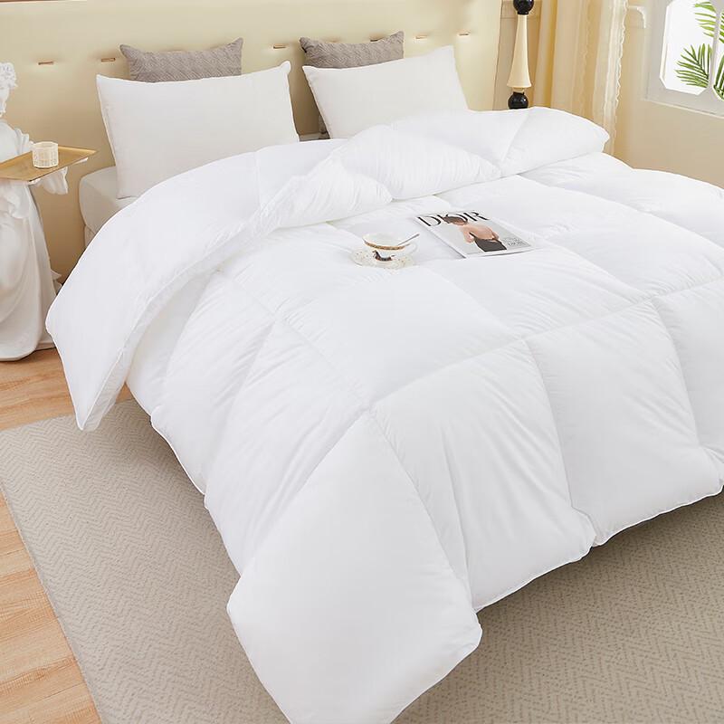 

Donnall Home Textiles Hollow Fiber Winter Duvet