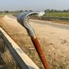 Silver Handle Cobra Head Walking Cane 93.98 cm Rosewood Wooden Stick, Christmas Wedding Travel Father, Mother, Grandfather, Grandmother Gift