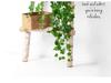 Artificial Ivy Wall-Hanging: Green Trailing Spider Plant Vines with Leaves