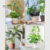 2 Pcs U-Shaped Acrylic Plant Trellis Clear Plant Support with Twist Ties Climbing Plants Trellis for Small Houseplants Ivy Monstera