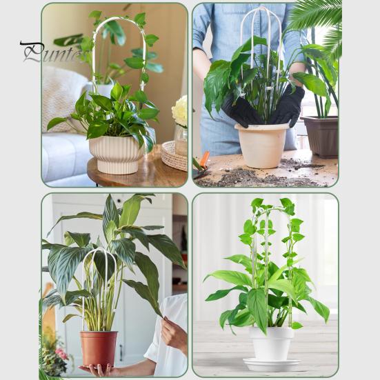 2 Pcs U-Shaped Acrylic Plant Trellis Clear Plant Support with Twist Ties Climbing Plants Trellis for Small Houseplants Ivy Monstera