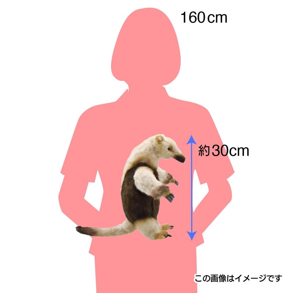 BH8137 HANSA Koalikui 32