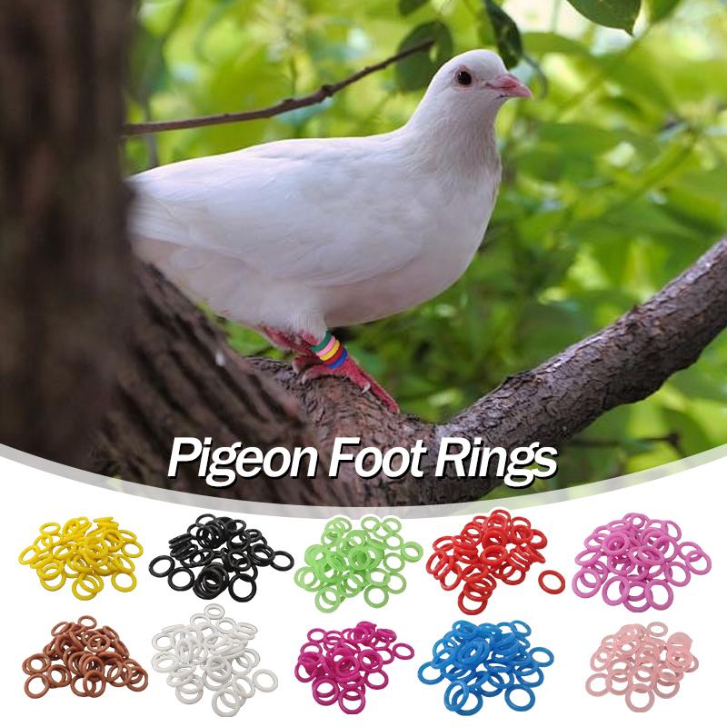 100Pcs Pigeon Foot Rings Elastic 8mm Mixed Colors Identification Rings for Carrier Racing Pigeons Quails Birds Appliances