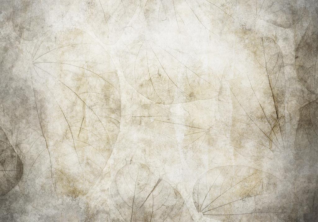 Fototapeta - Beżowe Pomruki