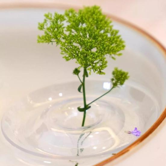 Floating Flower Stem Holder Clear Floating Floral Arrangement Holder Dynamic Rotation