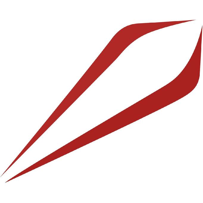 1 Pair 38.98 x3.39  Car Hood Stripe Sticker Universal Auto Racing Vinyl Exterior Decal Decoration for Car Hood Roof Trunk Skirt Bumper Red
