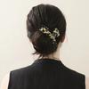 [Alexandre De Paris] Raspai Hair Clip Beige Tortoise 11
