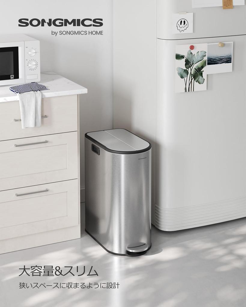 SONGMICS Trash 2 šířka dvojitý pedál s velkou nerezovou nádobou, dodává se s vnitřní stříbrnou nádobou LTB570E50, separace, 20L + 30L, 29cm, dvířka, typ, tenký