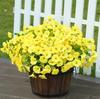 Simulated Morning Glory Eucalyptus Trumpet Short Branch Bouquet Garden Courtyard Flower Arrangement Decoration Party Props