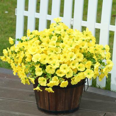 Deko & Wohnaccessoires – Künstliche Blumen & Kränze