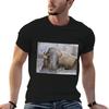 The Still Bison Tshirt Big Size Daily Wear Tshirt