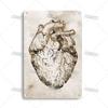 Placca Metallica Artigianale Clinica Dentista Cartello in Latta Anatomia Piatto Decorativo Medico Ospedale Chirurgia Dente Organo Ossa Nervo Cervello