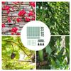 Cucumber Trellis For Raised Bed Arched Metal Trellis Raised Bed Vegetable Support Frame Gardening Grow Support Frame For Tomato