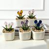 Decorações – Produtos de vidro