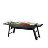 Portable Folding Charcoal Barbecue Grill with Skewers for Outdoor Cooking
