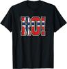 Ro! Vintage Flag of Norway Support Norse Soccer Football T-Shirt