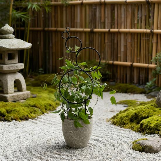 Plants Metal Trellis Multi-Circle Design Wire Trellis Planter Insert Support for Climbing Plants Potted Hoya