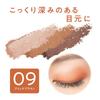 Cezanne Tone Up Eyeshadow 09 Brick Brown 2.6g 3-Color Eyeshadow with Applicator