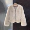 Autumn and Winter Imitation Fur Coat Women's Short New Versatile Temperament Imitation Fox Fur Coat
