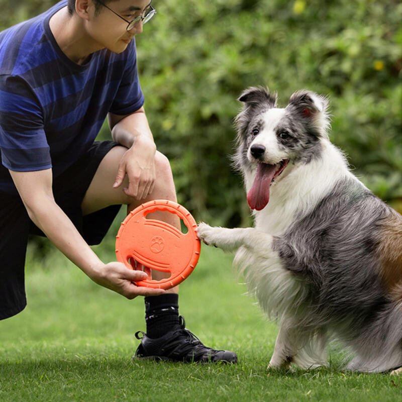 PH Dog EVA Toy Disc Flying Disc 9007 green