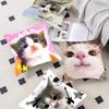 Cute Funny Cat Meme Maple Design Cushion Cover Happy Autumn Harvest Decor Holiday Decorati Pillow Cover