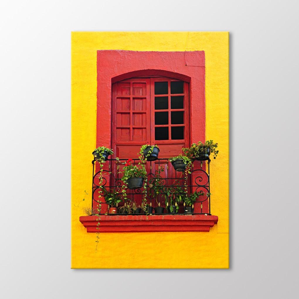 

Цветы перед стеклянным столом