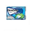 Dentyne Splash Sugar Free Gum – Spearmint & Strawberry Lime Flavors