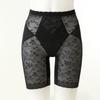 Wacoal Medium Standard Girdle Wgr3210t 