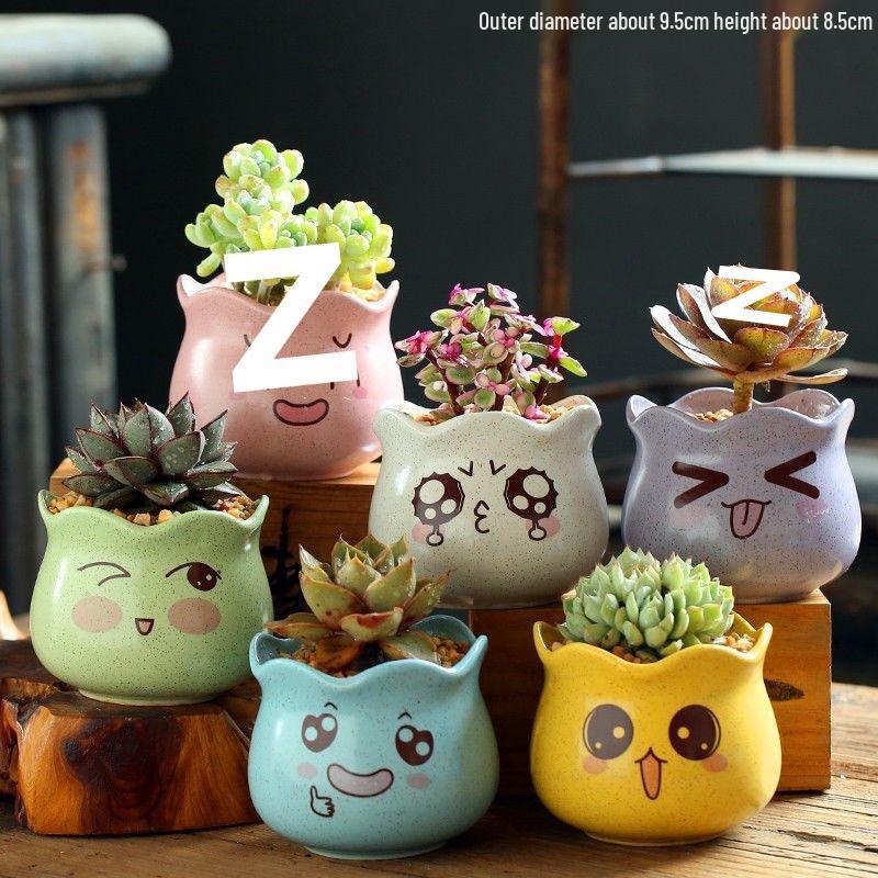 Breathable Ceramic Indoor Succulent Planter Set - Creative Small Flower Pots