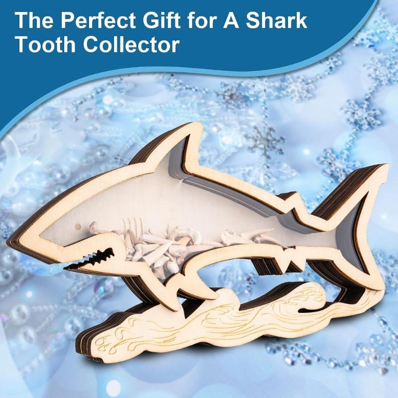 Starfishs Shape Seashells Display Box with Clear Acrylic Front Wood Seashells Holders for Shark Teeth Small Shadows Box